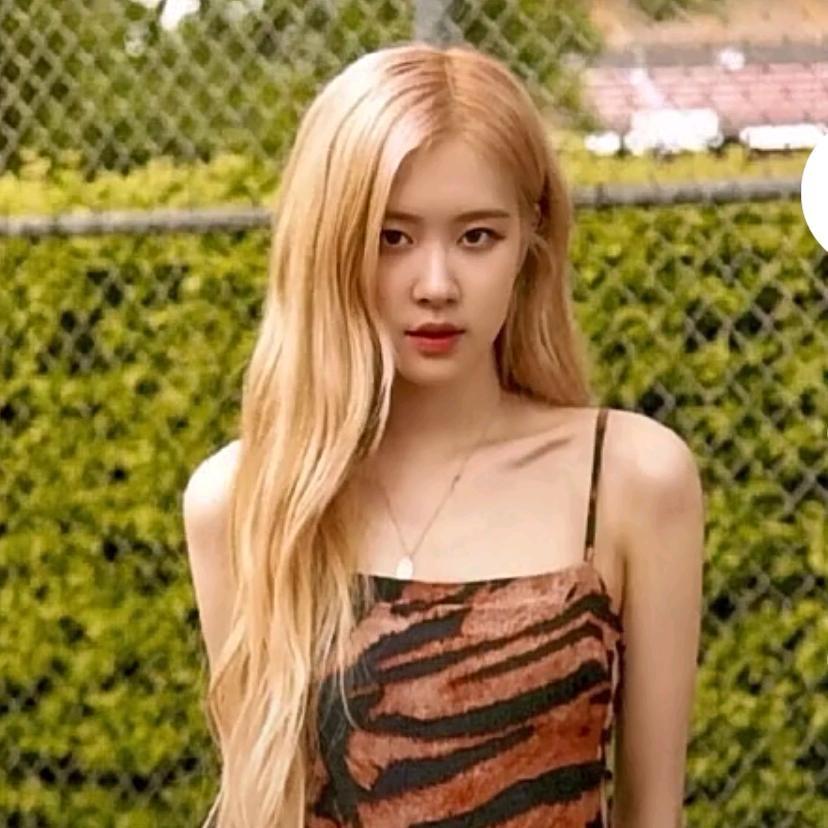 Rosé