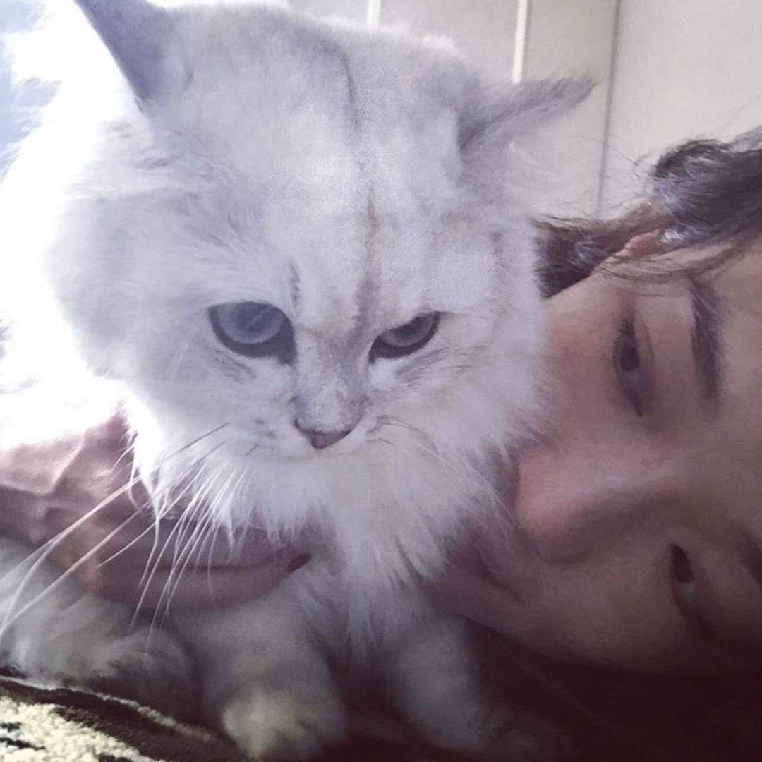 鹅不是可爱的蛆