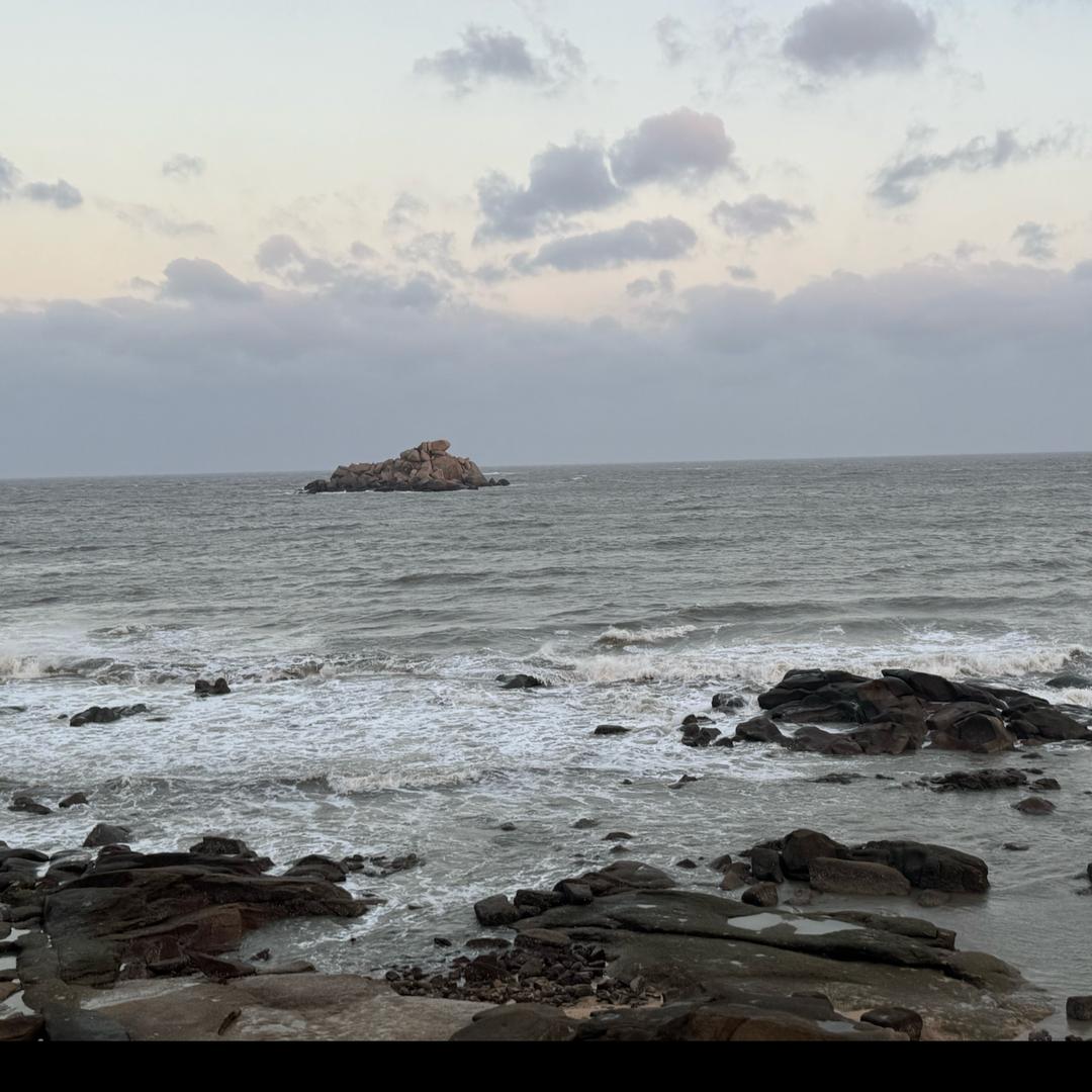 浅水游鱼