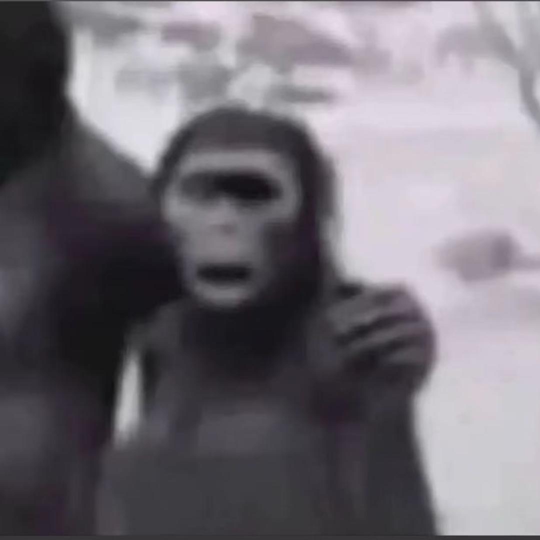 小晓a