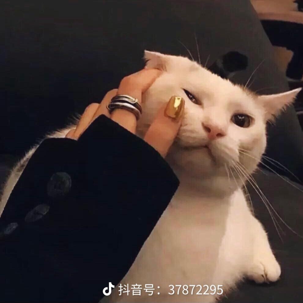 🌽