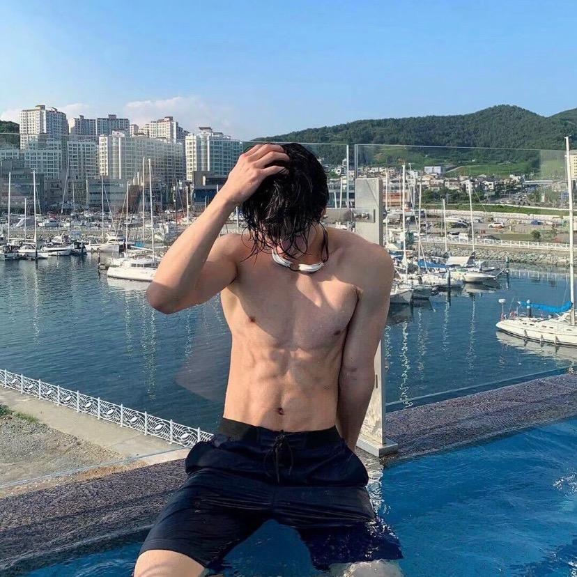 卫熊