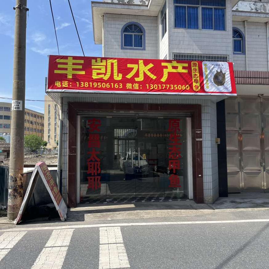 安昌太耶耶生态甲鱼