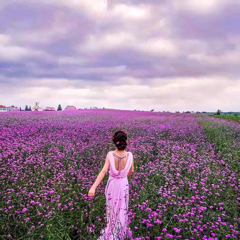 芷若美景