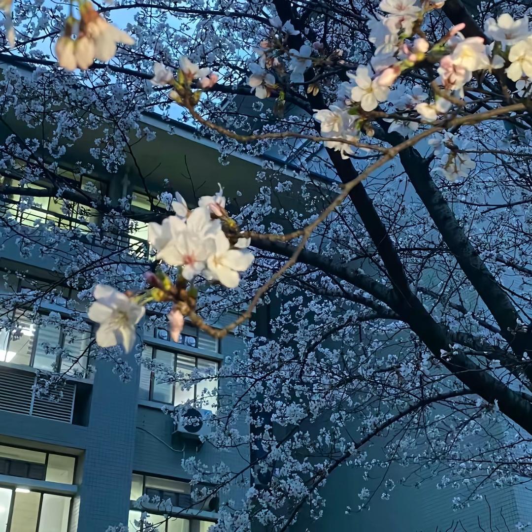 表妹不会画水彩