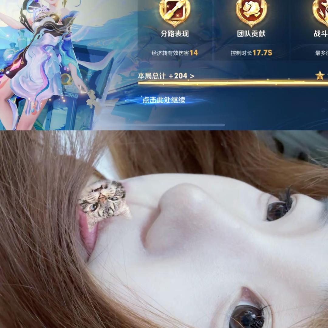 王者荣耀全能英雄尼古