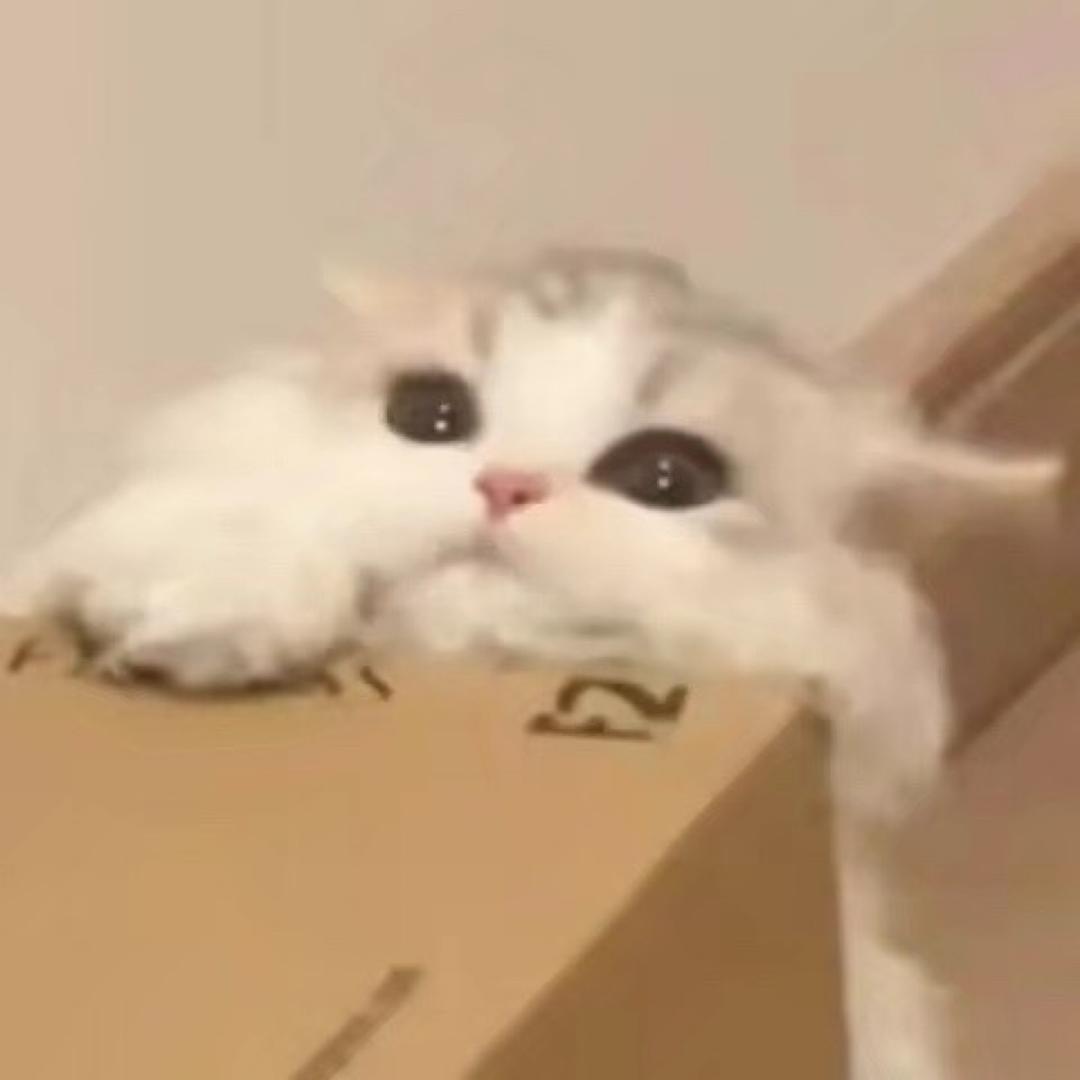 𓆡