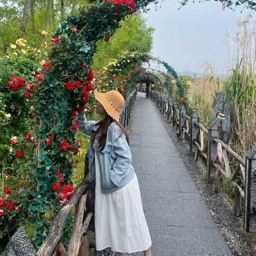 壹颗暖树🌲