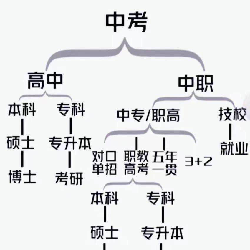 帅帅老师讲中考