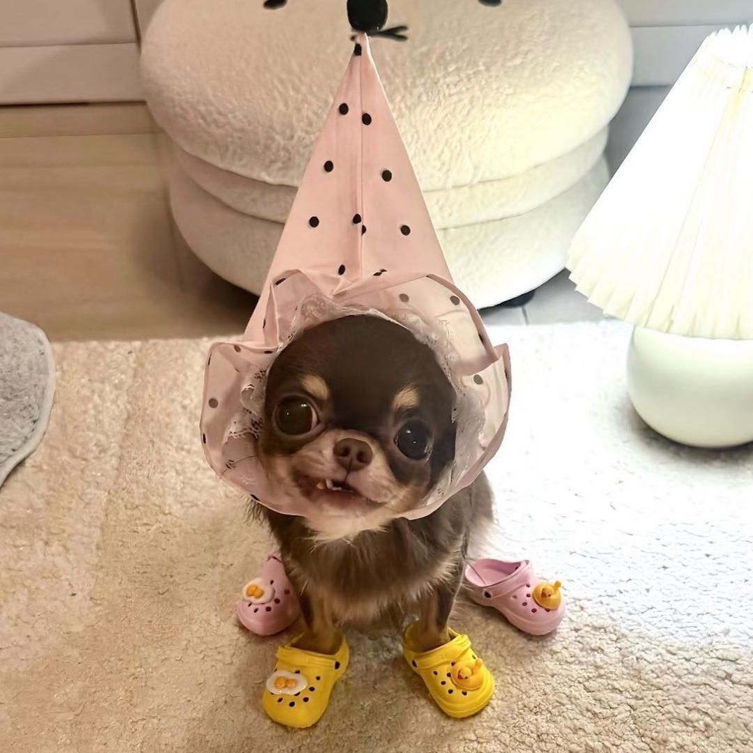 o3o