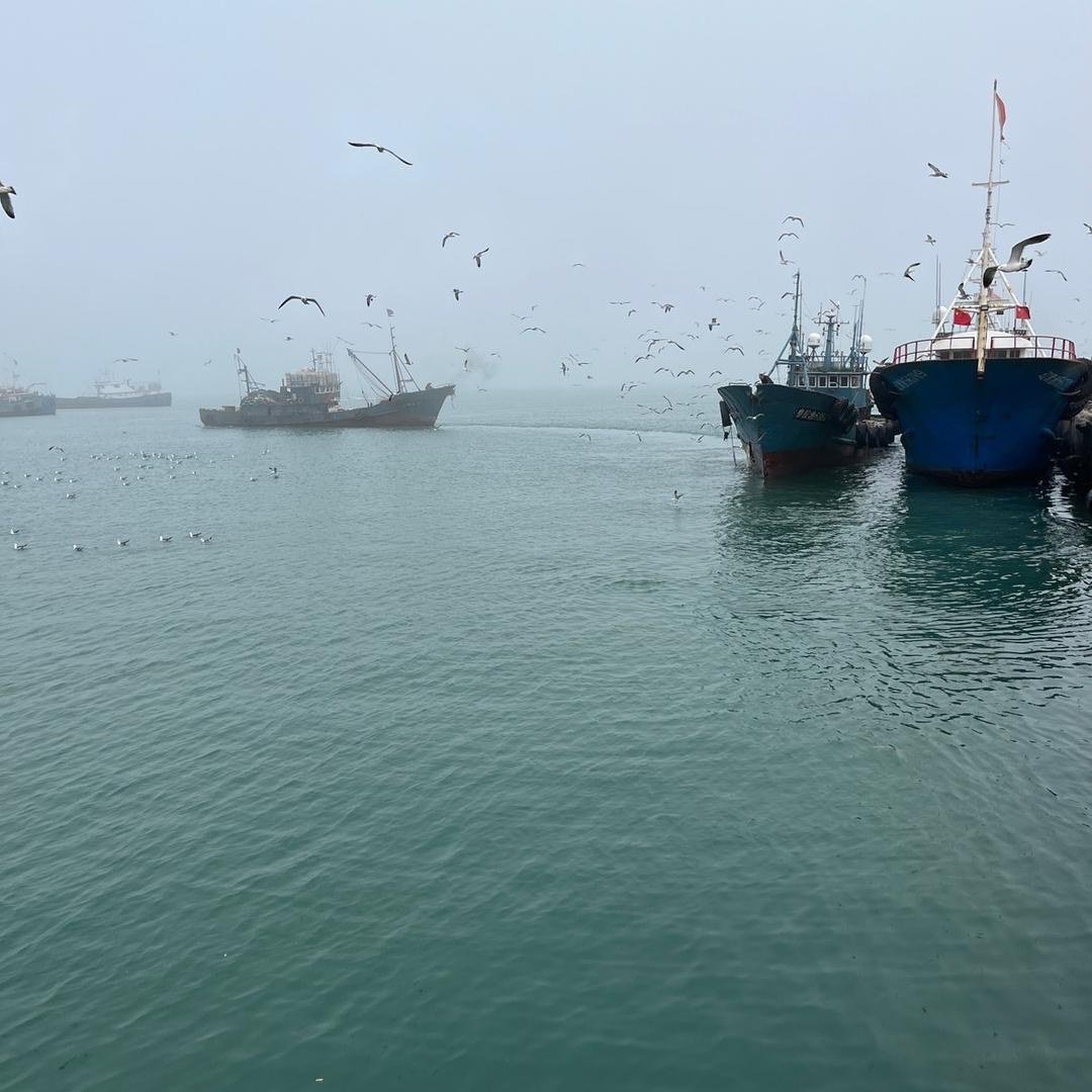 大老崔海鲜