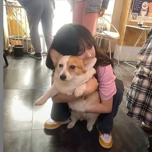 阿数蒜我球泥、