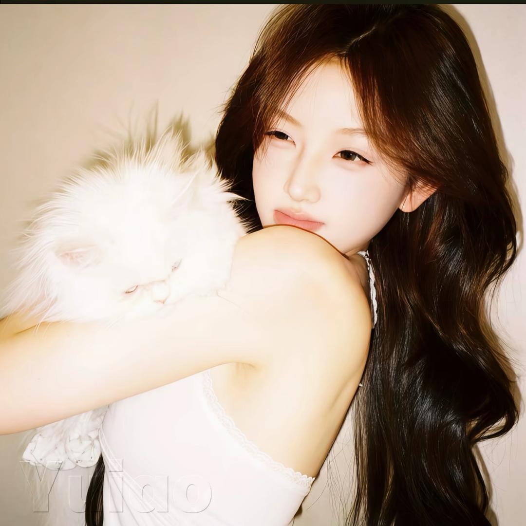 杨小咩·