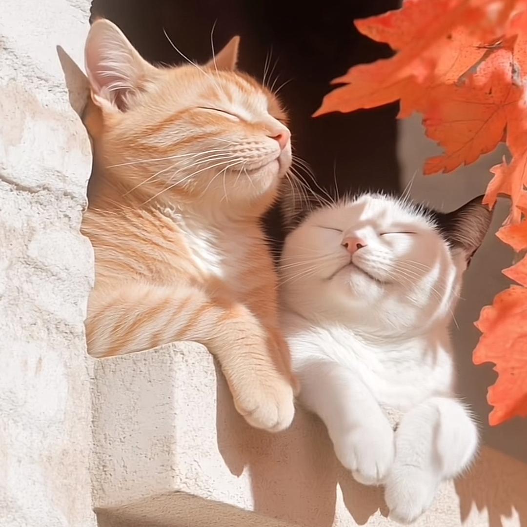 🍬果很甜💕