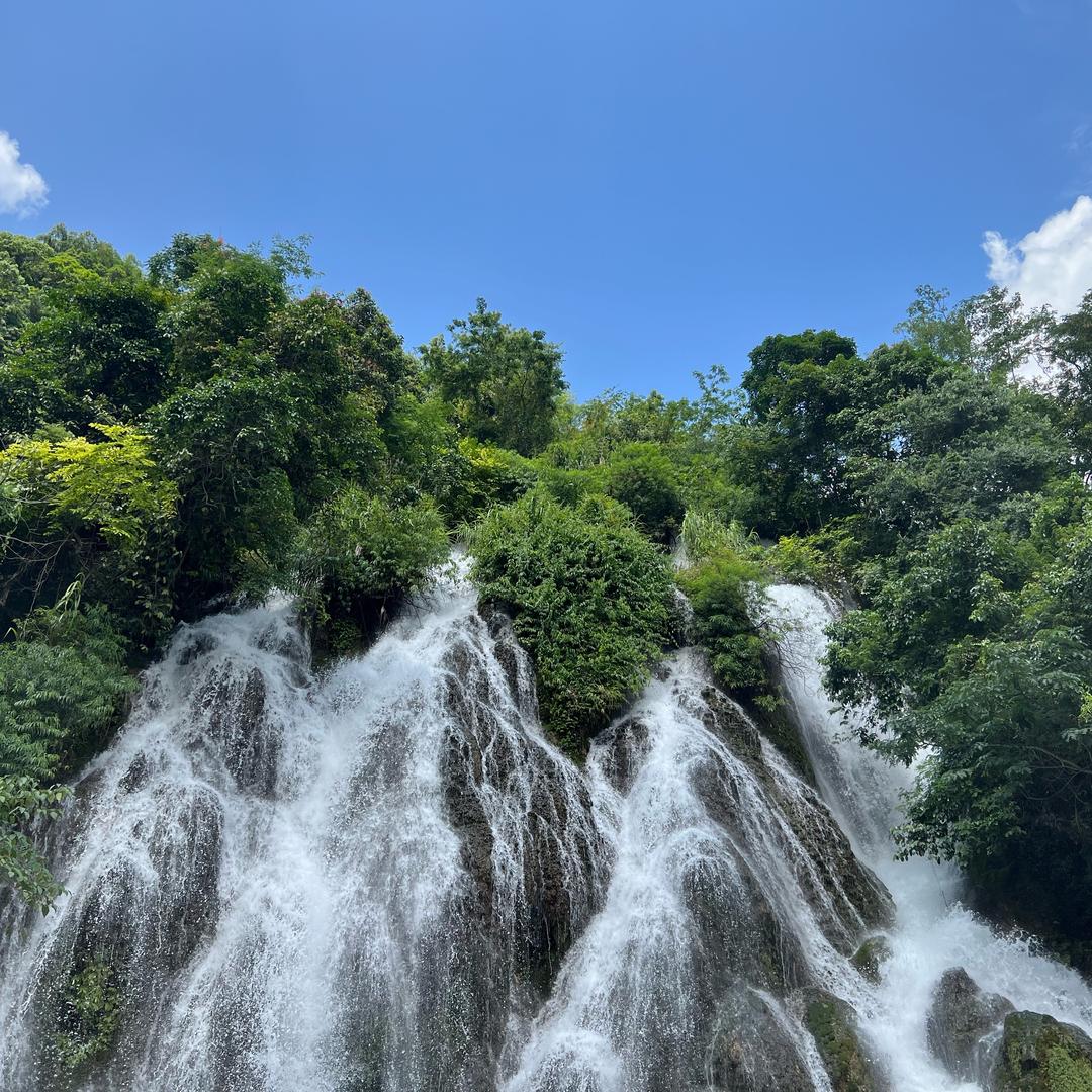 雪中雷