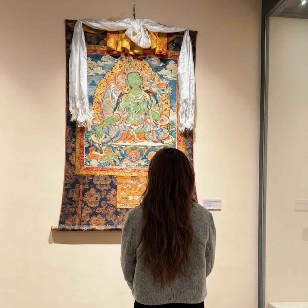 橘子猫有个小目标