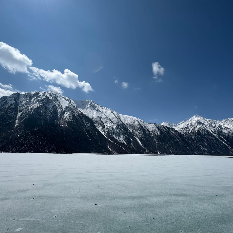 随风去流浪.
