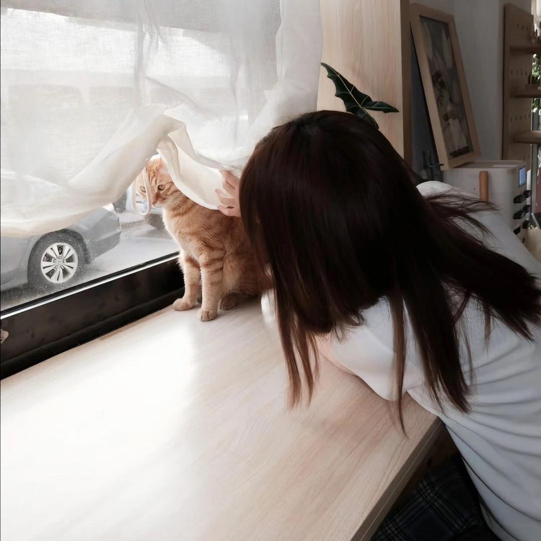 聆听小雨🌧️（生日版）