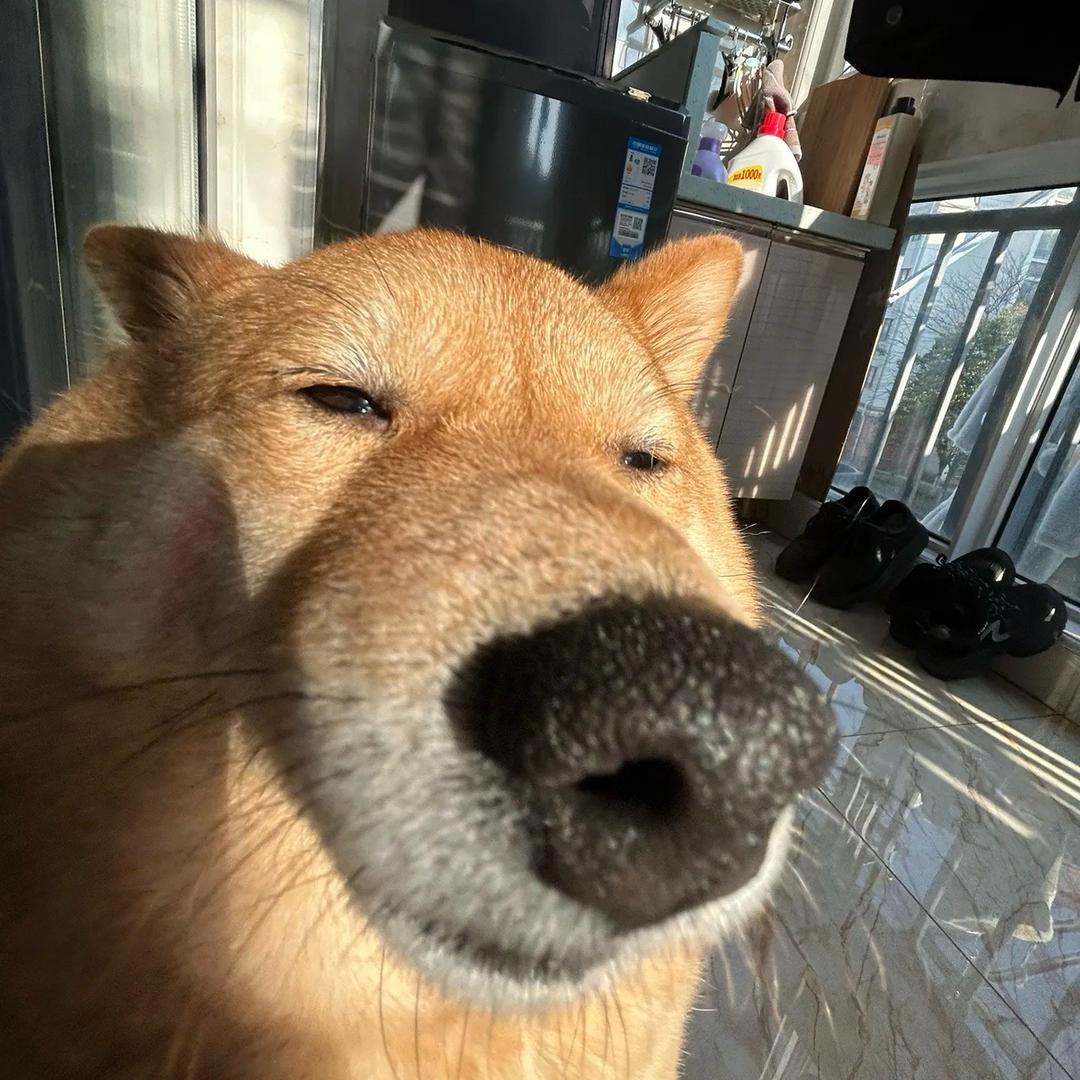 老师一张嘴就困