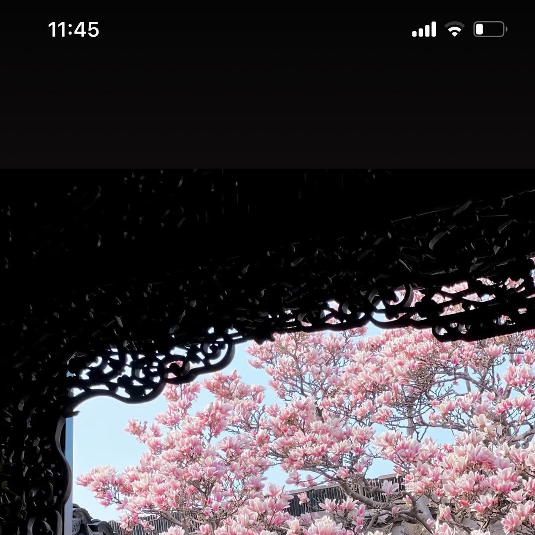 姒姒