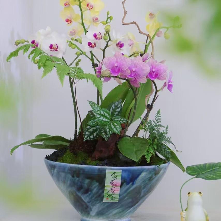 艺塑·花器