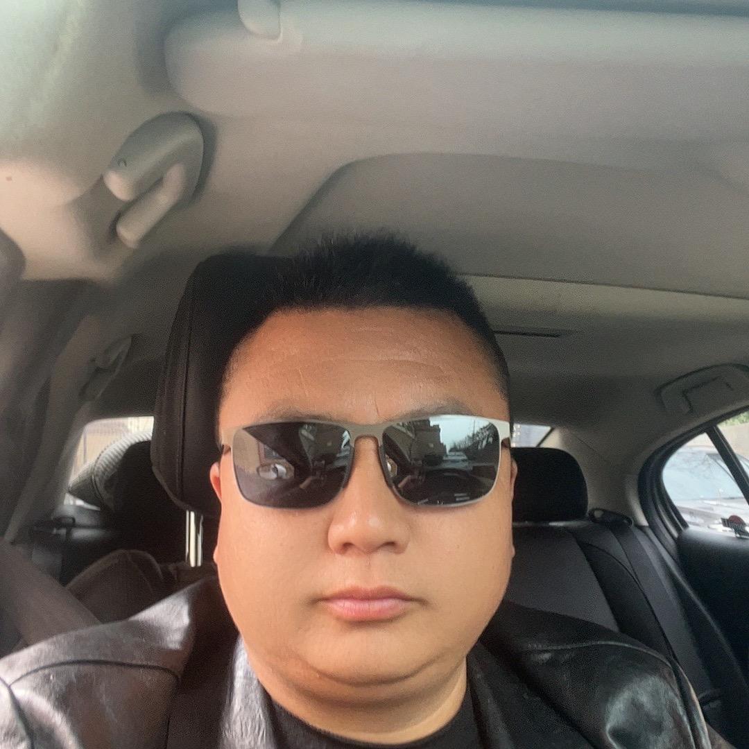 梧桐树下