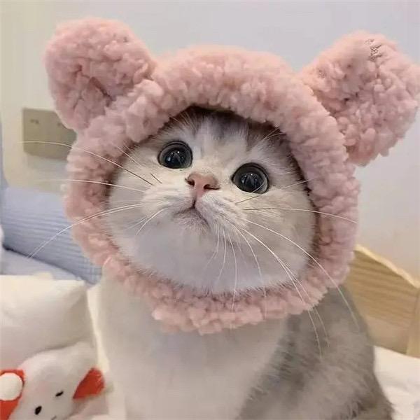 美丽心情看世界