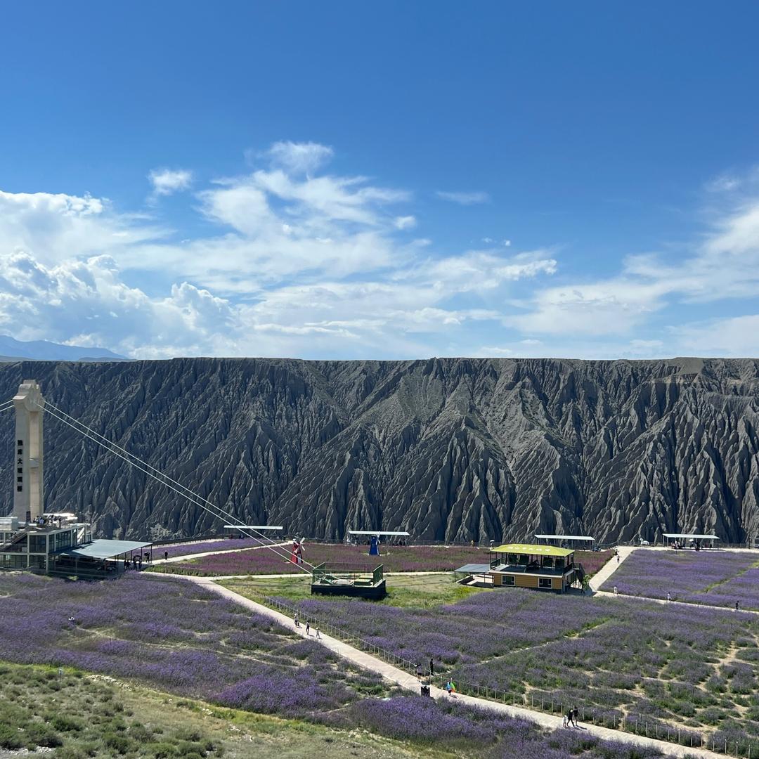 你知道西瓜多甜吗?