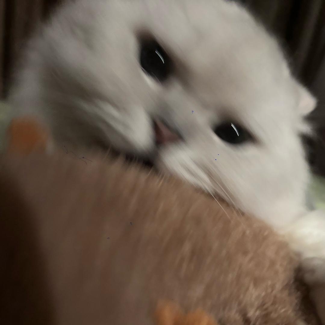 松松松松松