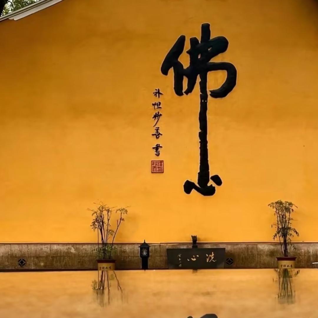 先生.你好！
