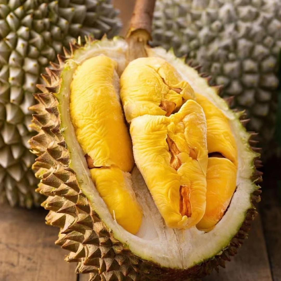 猴子&卷毛精挑猫山王榴莲