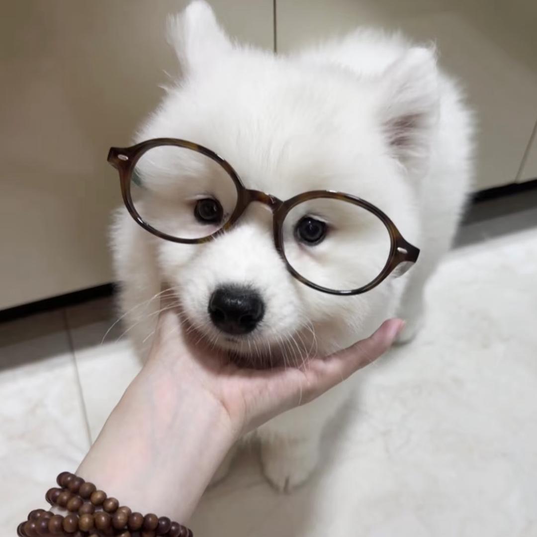 绵念的岛