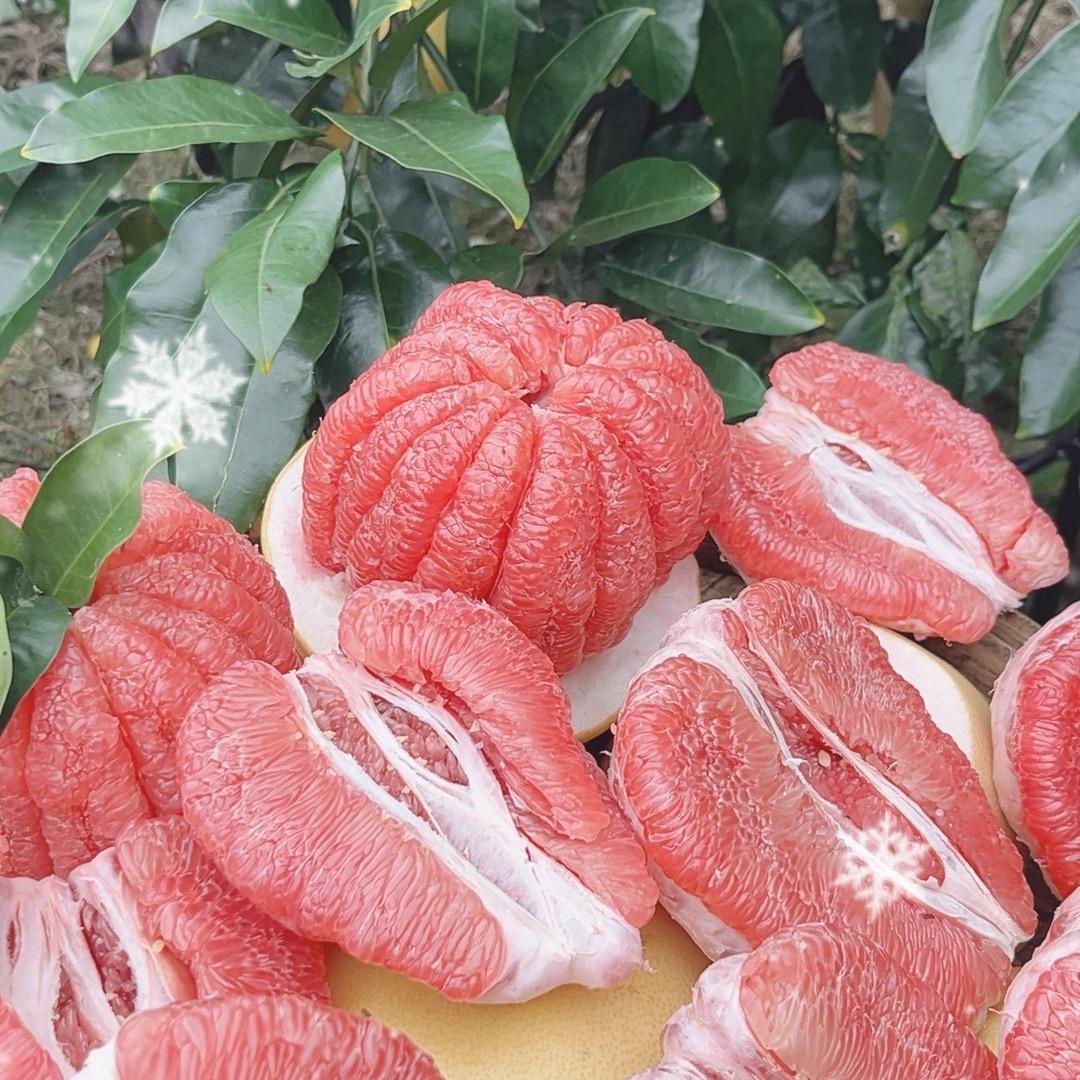 柚你幸福