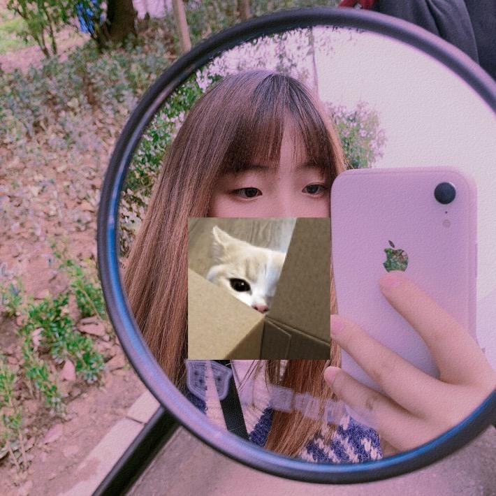 A自由的咸鱼🐟