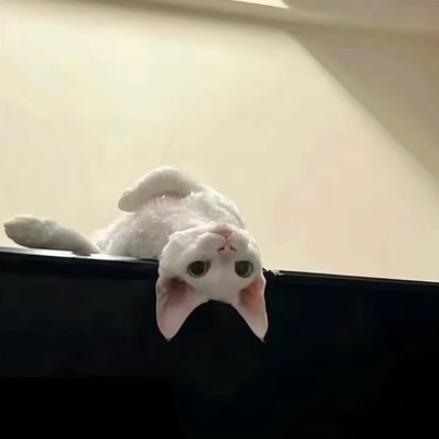 R.
