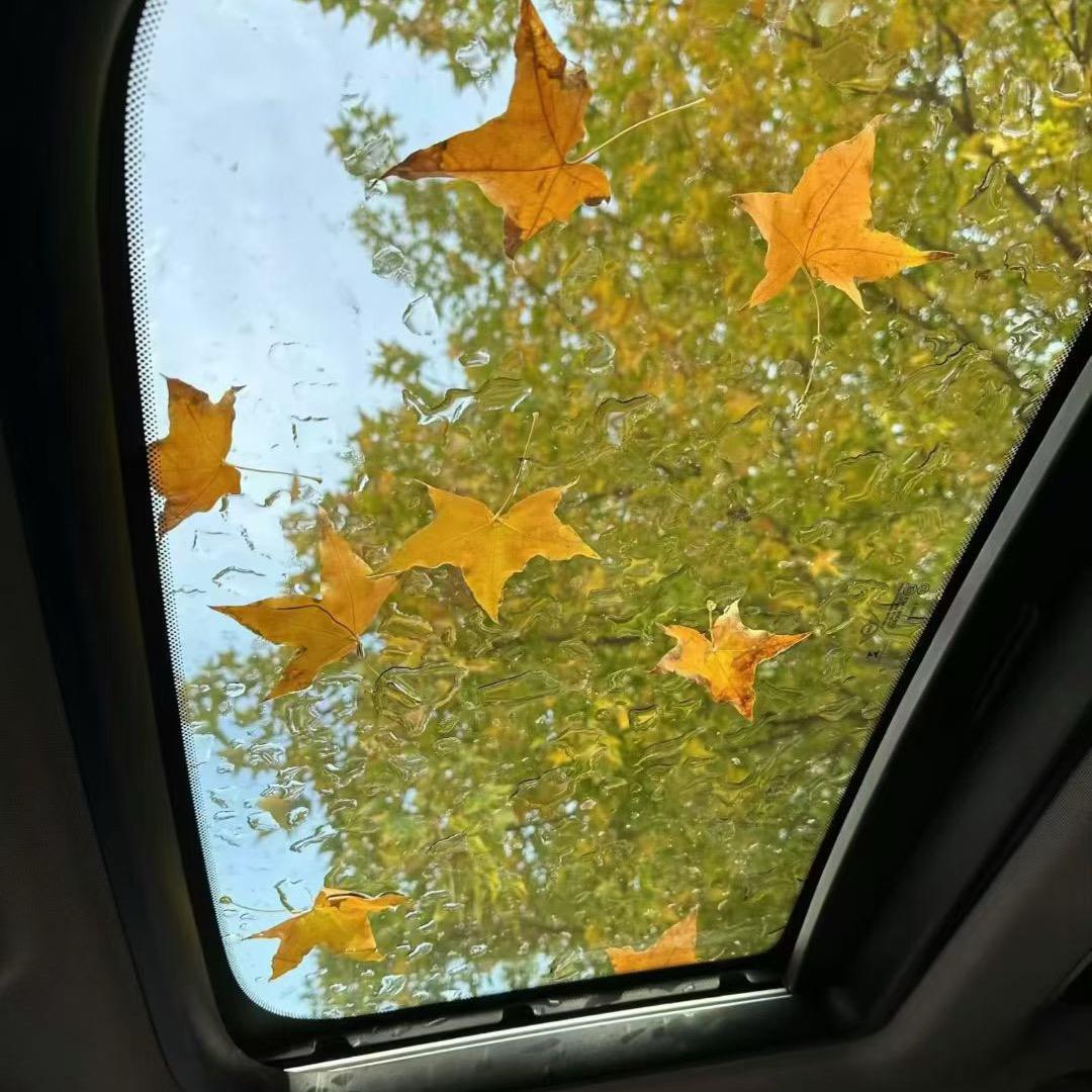 ʕ•̫͡•ʔ Bi8bo .