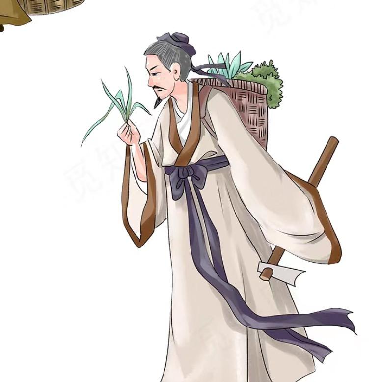 紫苏🌾