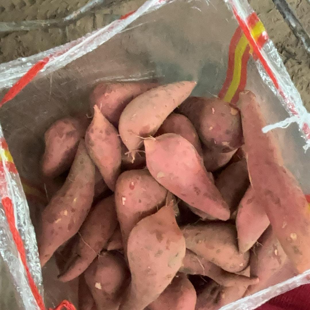 代收农副产品（智慧）