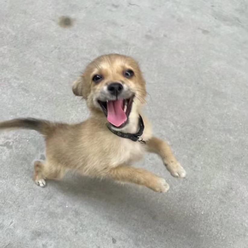 王大可
