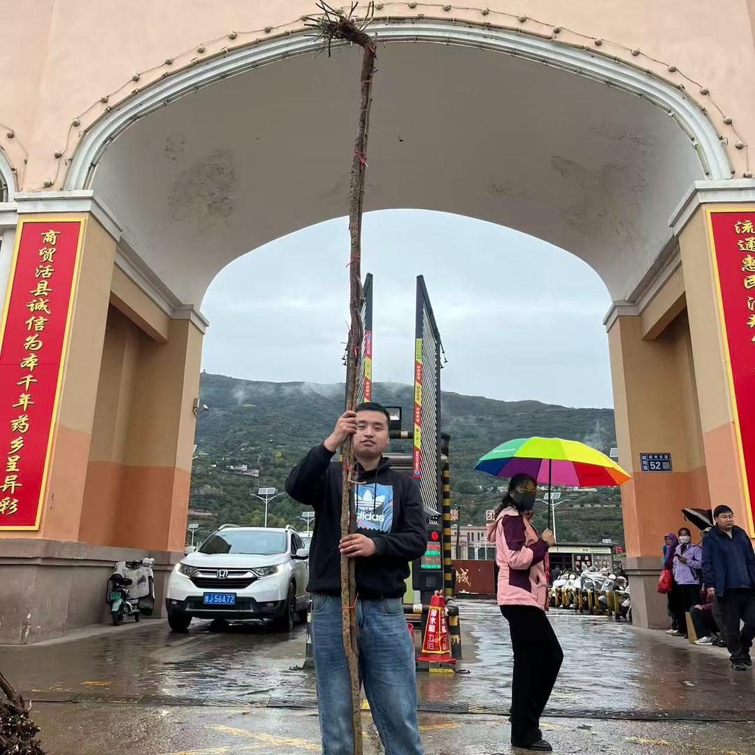 岷语小陈农产品