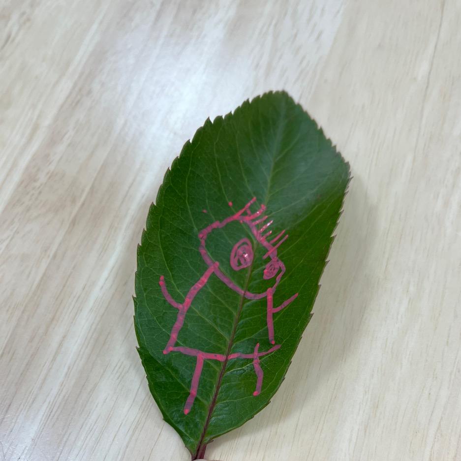 🌈一碗螺蛳粉⚡️