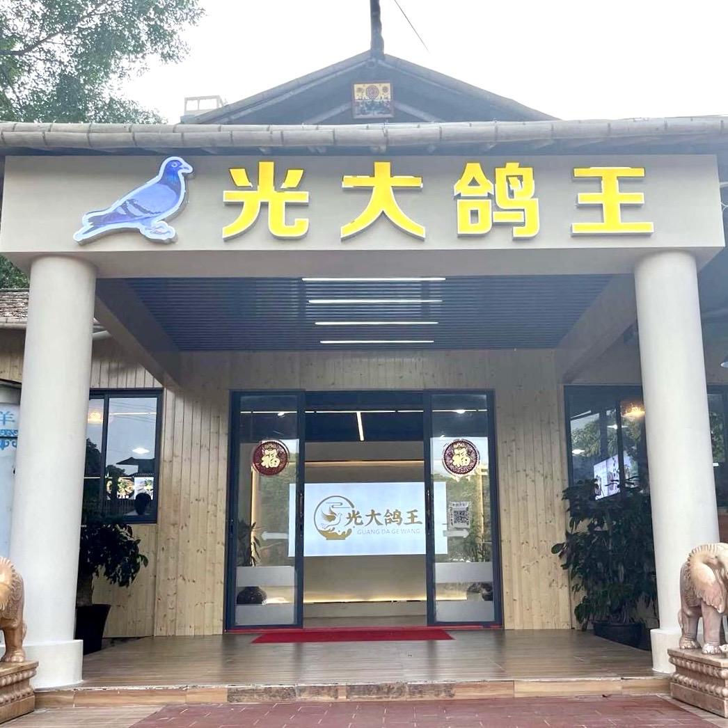 光大鸽王农家大院