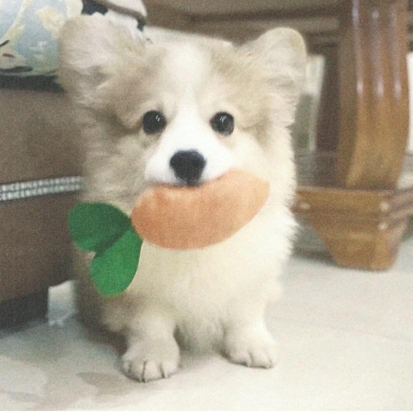 唐伯虎（接任何）