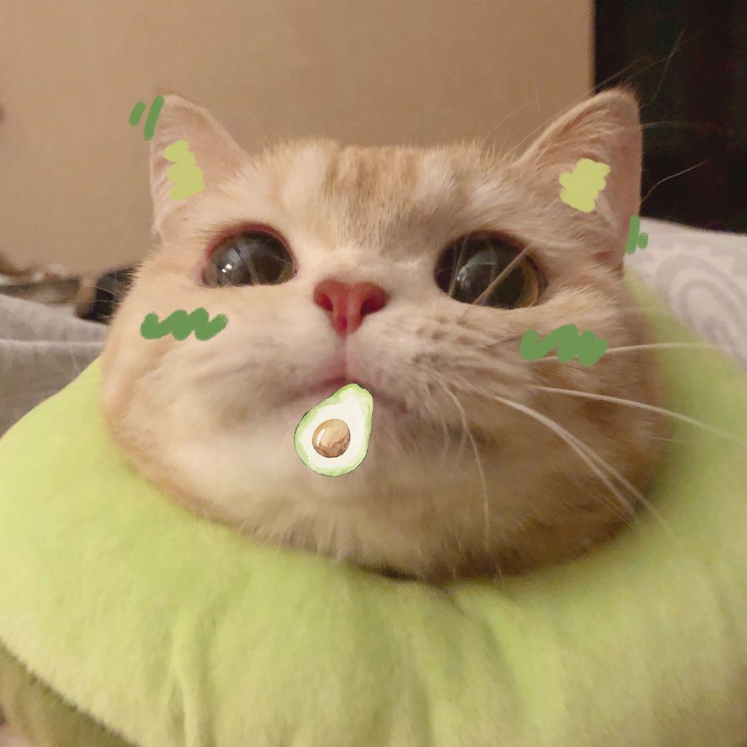 AW三角洲