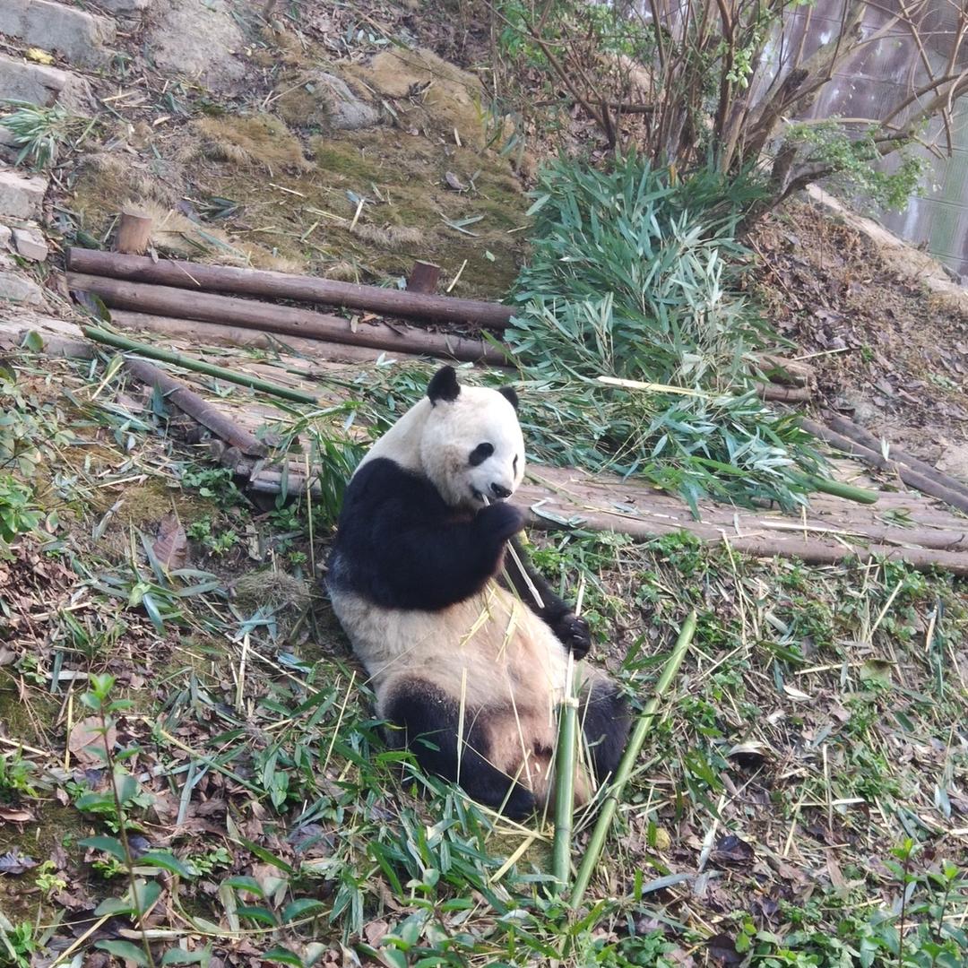 乂尾咸鱼