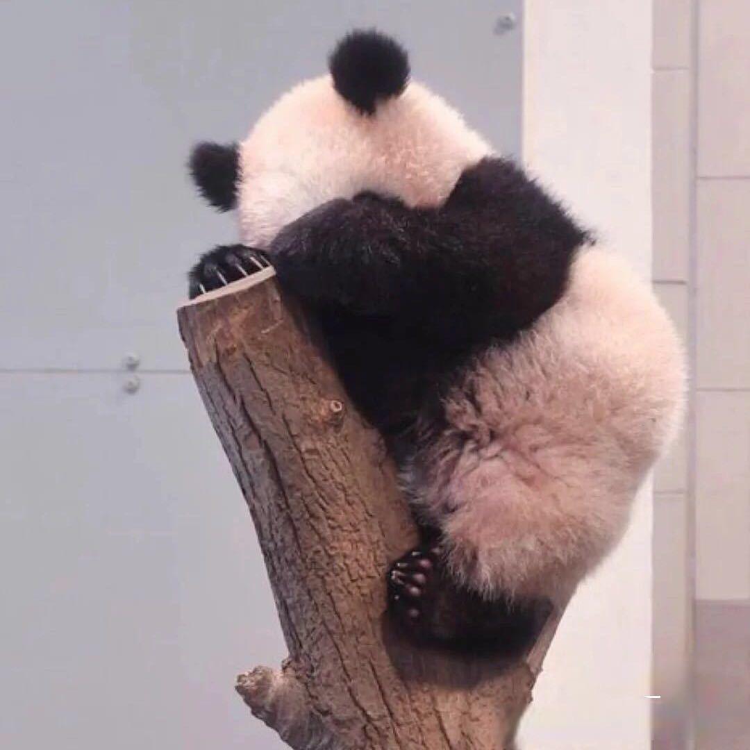 🌈小玩小碗🌈
