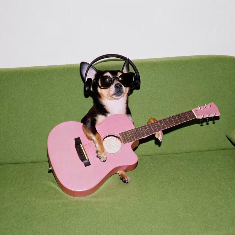 声虎实时修音软件