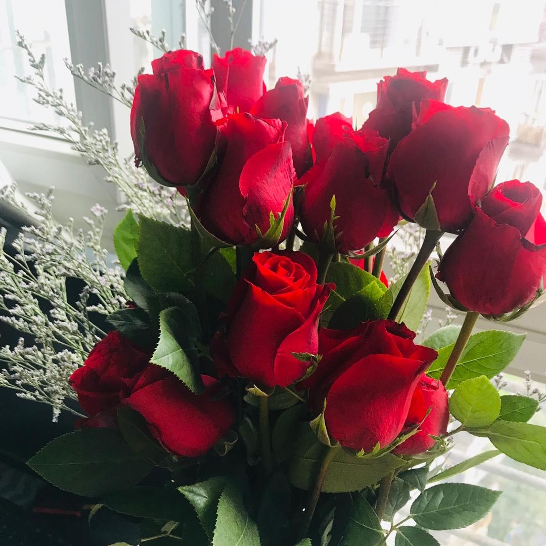 瑞瑞的小小生活