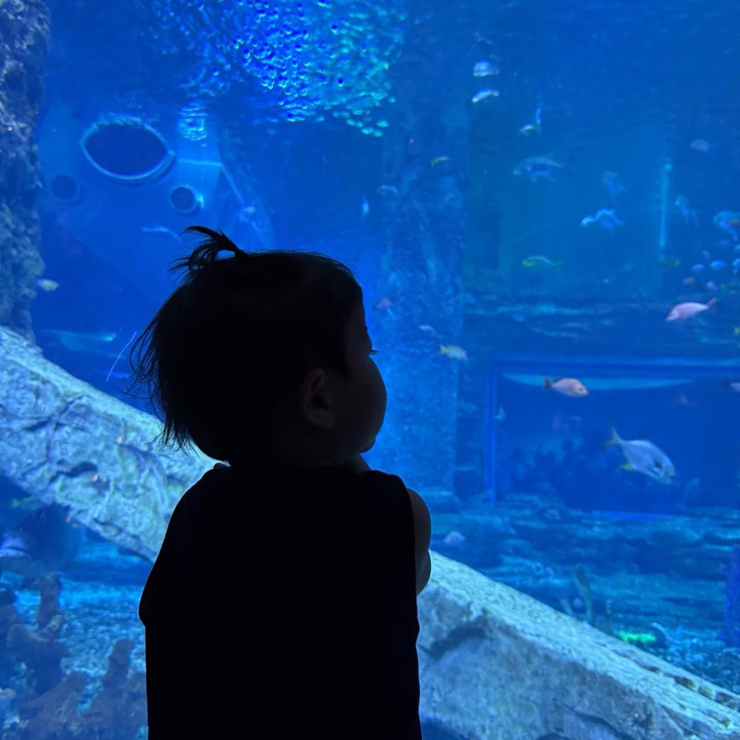 𝙏𝙏_𝙢𝙖𝙢𝙖🧸🫧