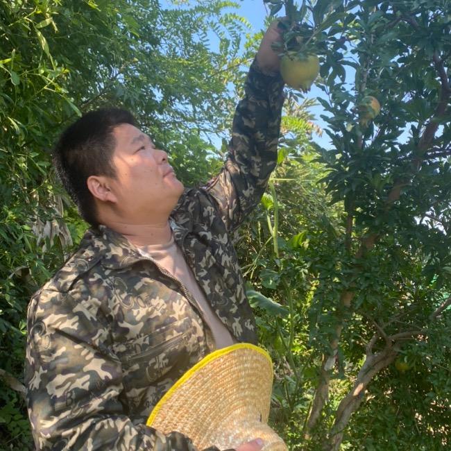 小刘讲农业